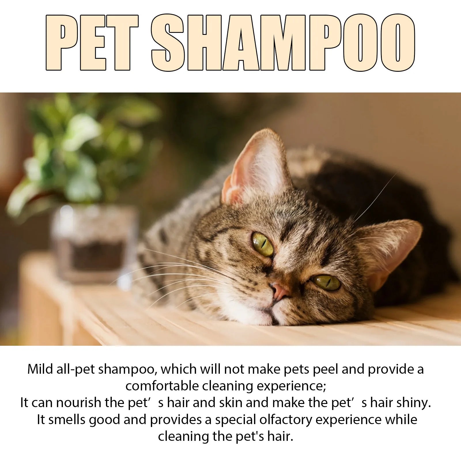 Shampoo Anti-Pulci e Anti-Acari - Ammorbidente e Deodorante