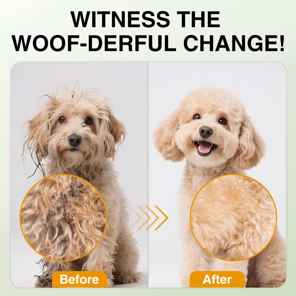 Shampoo 5-in-1 Avena e Miele